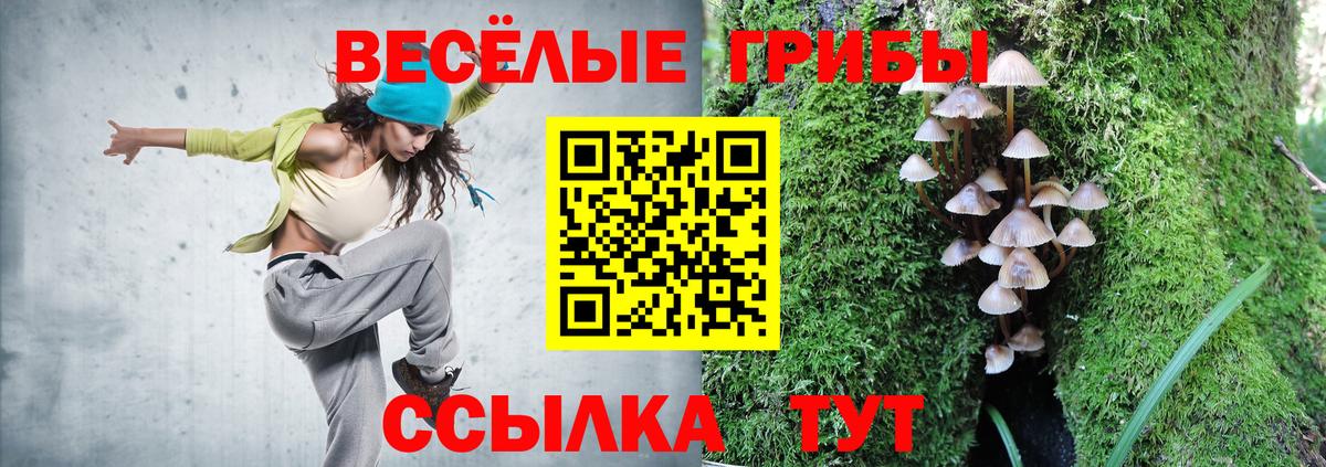 Псилоцибиновые грибы GOLDEN TEACHER Азов