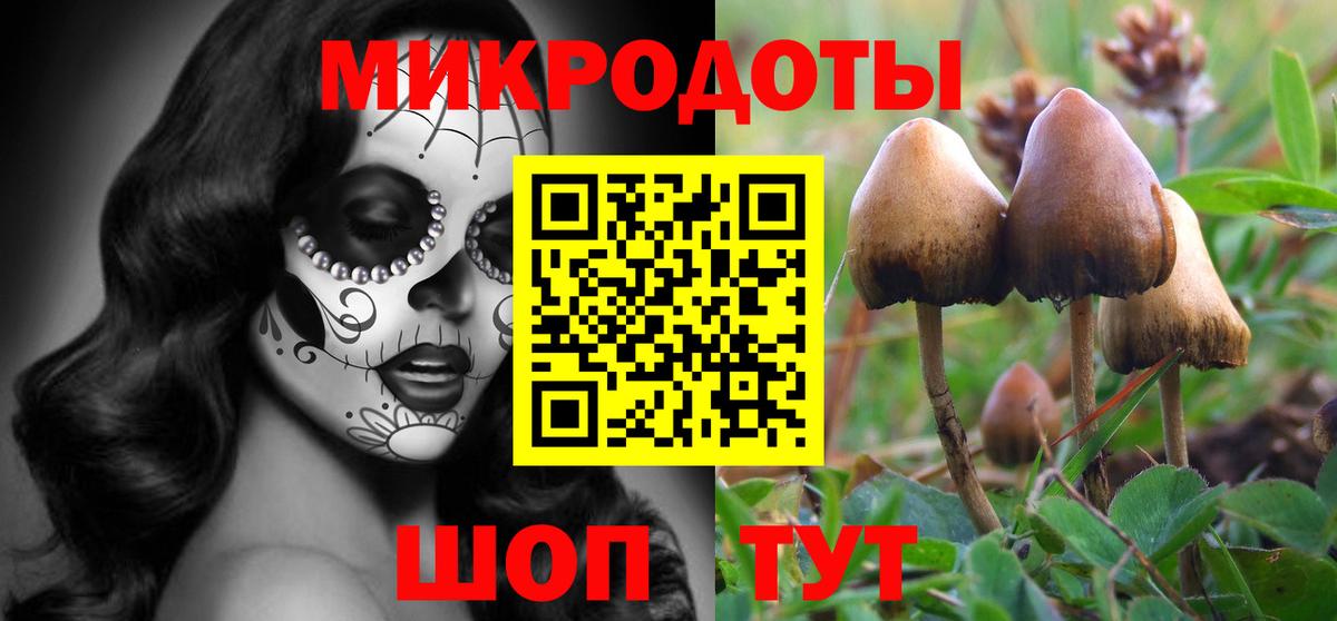 Псилоцибиновые грибы ЛСД  Псилоцибиновые грибы мицелий  Вход с VPN  Азов 